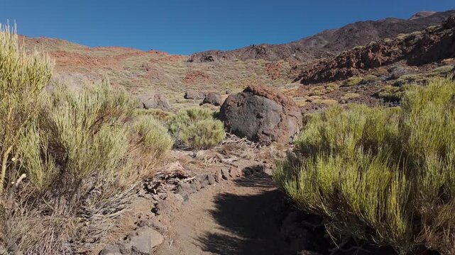 Trail past Huevos del Teide