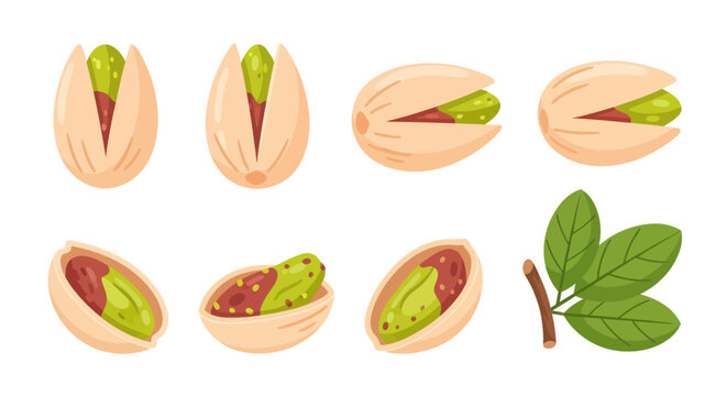 Close up pistachios with open shells