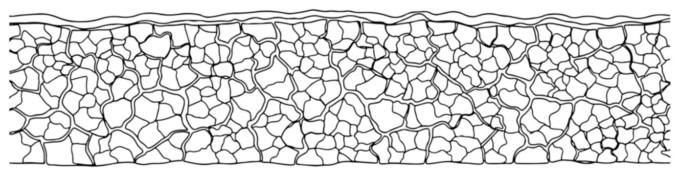 Dry cracked earth soil texture line art, drought and climate change environment pattern illustration