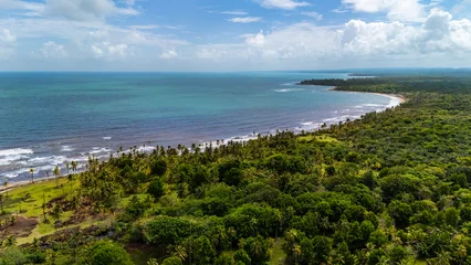 Aerial view of a lush tropical coastline on the Caribbean side of Panama near Colón and Gatun Lake. Dense green rainforest and rows of palm trees stretch along a curving shoreline © cris