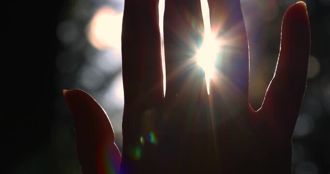 Female hand touching the sun - slow motion, sunlight passing through fingers, pine forest mountain at sunset, closeup shining sun and the branches of the trees, season travel nature idyllic