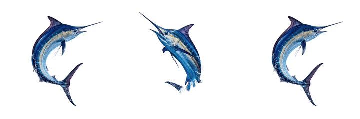 Playful Blue Dolphin Leaping PNG, Marine Mammal Ocean Wildlife Isolated on Transparent Background, Intelligent Sea Creature Clipart. © kingdom