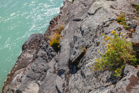 Yellow wildflowers cling to a sunlit rocky cliff beside turquoise mountain river water, with moss, lichen and textured stone creating a peaceful rugged nature scene ideal for outdoors and travel