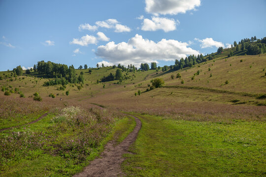 Katun river valley summer landscape, Altai. A peaceful meadow with a narrow dirt path winding through rolling green hills