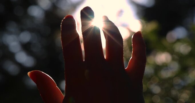 Female hand touching the sun - slow motion, sunlight passing through fingers, pine forest mountain at sunset, closeup shining sun and the branches of the trees, season travel nature idyllic