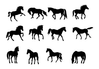 Obraz premium Black silhouette collection of horses in various dynamic poses