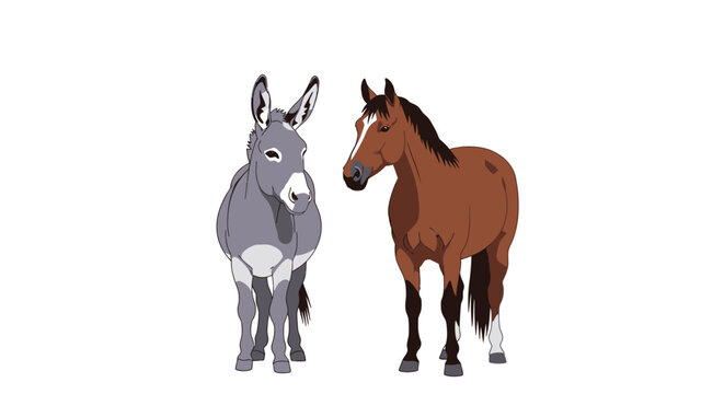 Donkey and horse illustration depicting two animals with white background