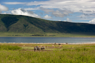 Ngorongoro Conservation Area, Tanzania © Jelena