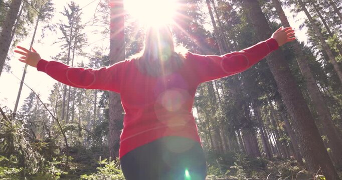 Young woman enjoys at beautiful sunset in pine forest mountain, slow motion, closeup of happy woman spreads her arms and bright sun, branches of the pine trees, season travel nature idyllic