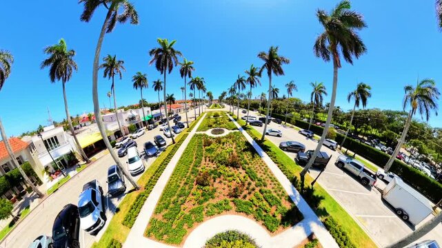 Stock aerial video royal poinciana way medians Palm Beach Florida