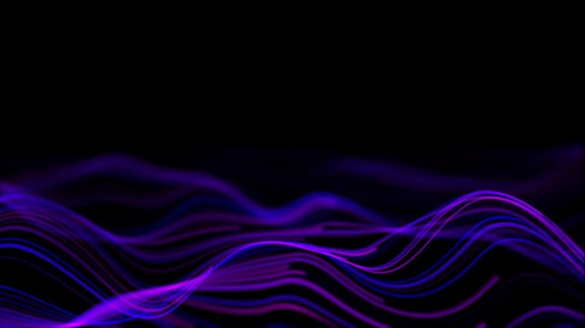 Abstract waves oscillation on black background. Purple blue neon audio waveform graph flowing smoothly, digital sound waves frequency, audio visualizer, sound analyzer screen, glowing data flow, loop