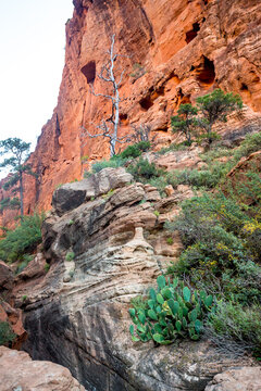 Sandstone cliffs along the West Rim trail in Zion National Park, Utah
