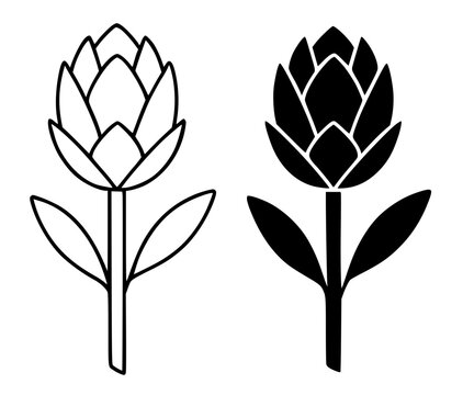 Protea minimalist icon in outline and silhouette style