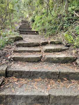 Hornsby Heritage Steps. Dressed sandstone steps from the Great Depression Era in the Australian Bush north of Sydney Australia