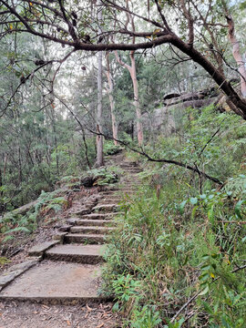 Hornsby Heritage Steps. Dressed sandstone steps from the Great Depression Era in the Australian Bush north of Sydney Australia