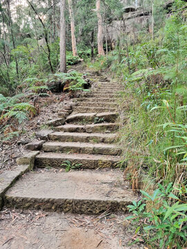 Hornsby Heritage Steps. Dressed sandstone steps from the Great Depression Era in the Australian Bush north of Sydney Australia