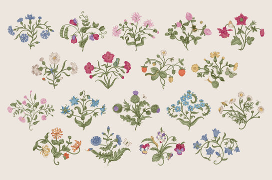 Flowers of the meadow. Set. Vintage vector floral illustration. Motif. Colorful