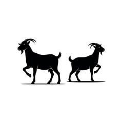 Fototapeta premium Two goats walking side by side.