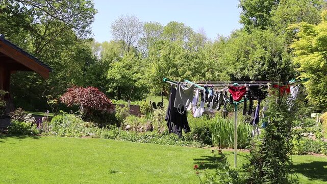 umweltfreundlicher W&auml;schetrockner - W&auml;schespinne im Garten, Nordrhein-Westfalen, Deutschland