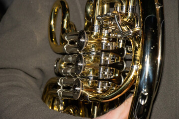 Obraz premium Waldhorn
