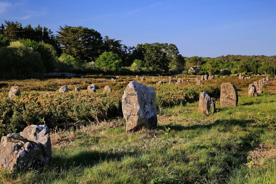 Antike Menhire erstrecken sich in langen Reihen &uuml;ber eine gr&uuml;ne Wiese vor einem einsamen Steinhaus unter strahlend blauem Himmel im warmen Abendlicht der Bretagne.