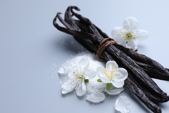 Aromatic vanilla pods, pile of sugar and flower buds on grey background, closeup. Space for text