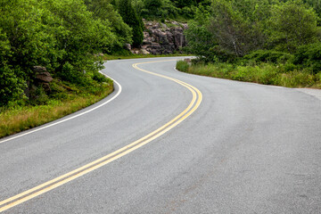 Obraz premium Winding asphalt road through green forest landscape
