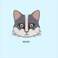 Manx Cat Breed Face Portrait © Ibrahim