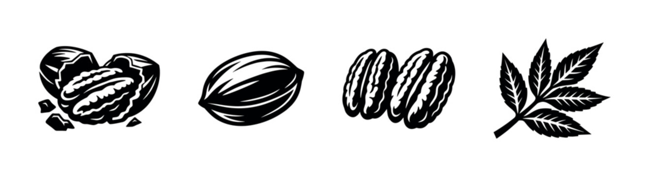 Black and white walnuts and leaves clipart silhouette vector illustration