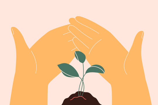 Human hands care about small green tree. Young Plant growths from the ground and person support it. Green energy and sustainable lifestyle concept. Save the planet vector ecology illustration