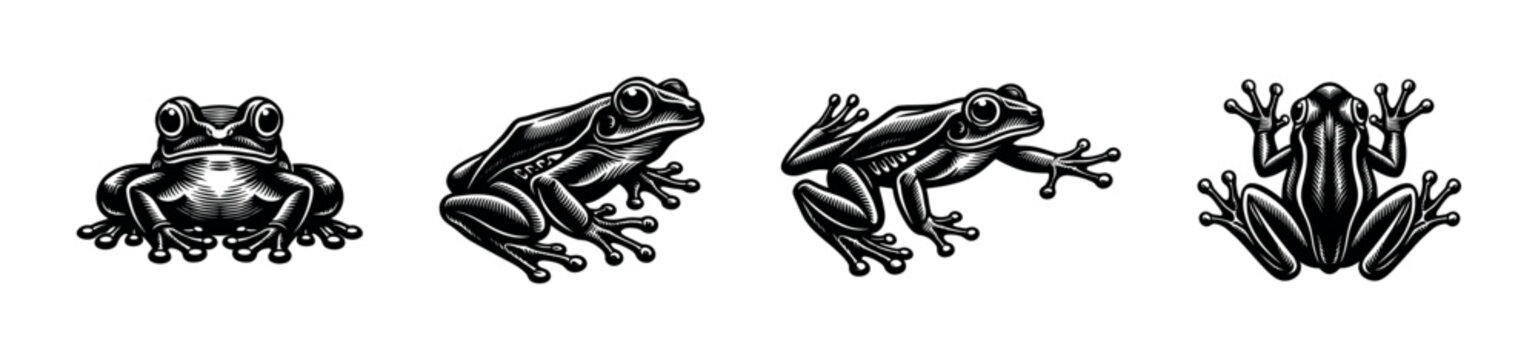 Black and white frog illustrations silhouette design vector collection
