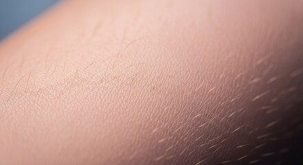 Fototapeta premium Extreme close-up of human skin texture, showing fine hairs and pores
