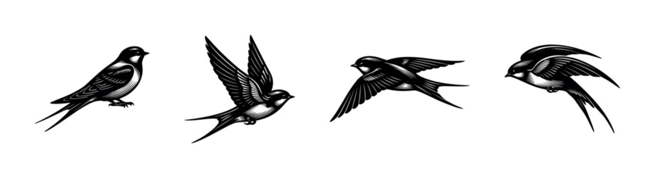 Black and white vector illustration of elegant swallow birds in flight animal silhouette