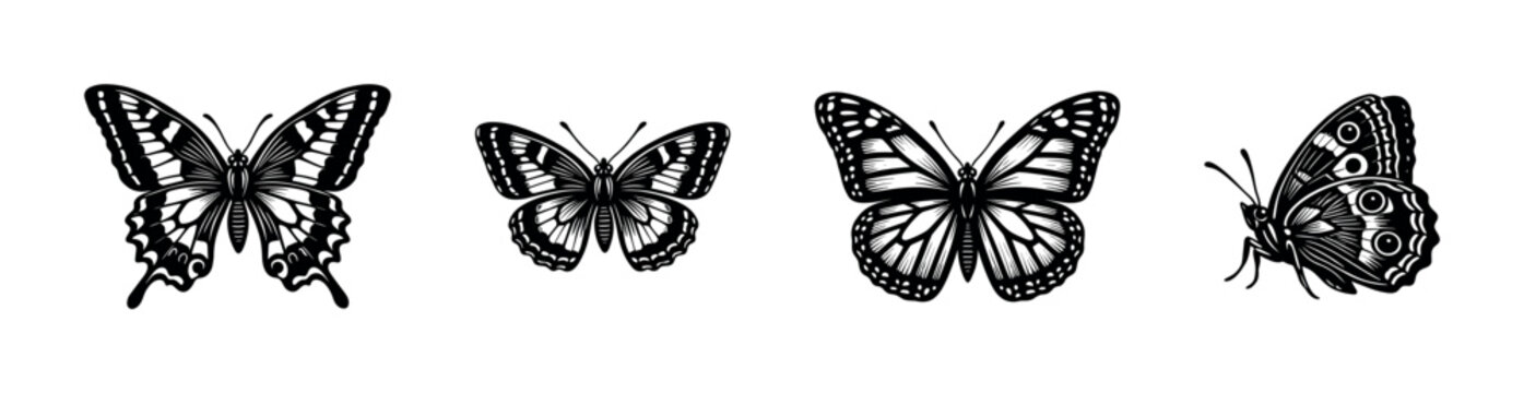 Black and white butterfly clipart set featuring detailed illustrations of various butterfly species in silhouette style