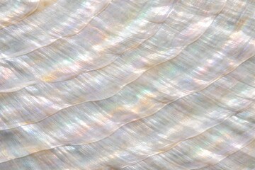 Obraz premium Mother of Pearl Shell Texture Seamless Pattern. Close-up nacre shell surface detail. Iridescent organic material design. Realistic pearl shell texture background. Detailed glossy macro close-up. 