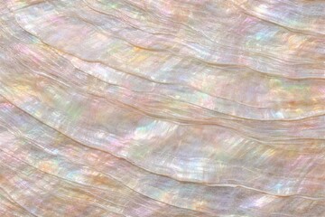 Naklejka premium Mother of Pearl Shell Texture Seamless Pattern. Close-up nacre shell surface detail. Iridescent organic material design. Realistic pearl shell texture background. Detailed glossy macro close-up. 