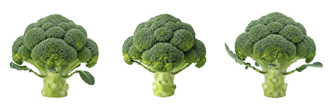 Set and collection of fresh broccoli head isolated on white transparent png background