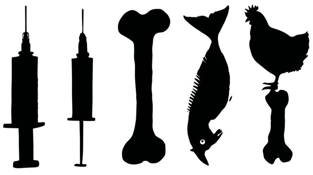 Black silhouettes of medical syringes, various animal bones, fish, and farm poultry on a clean white background