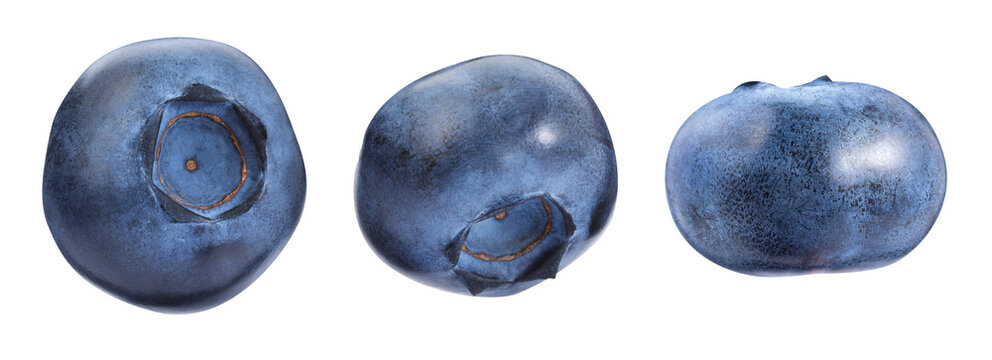 Fresh ripe blueberries isolated on white, set