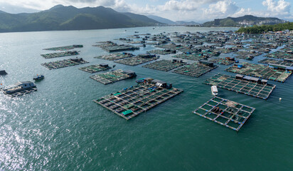 A vast array of floating fish farms in Hon Mieu, Nha Trang, Vietnam, showcases the region's aquaculture industry and its vital role in the local economy. © Zenstratus