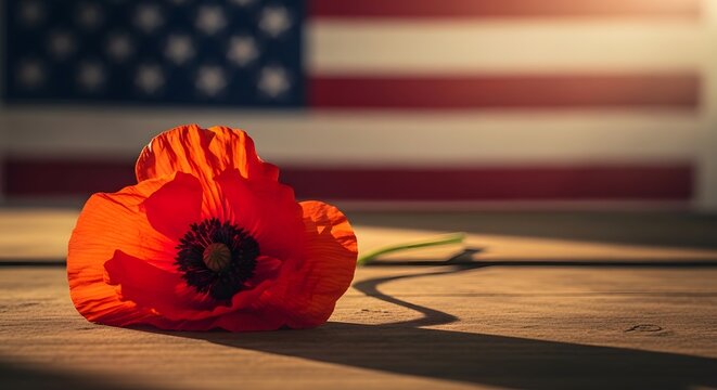 Red poppy flower on wooden table with American flag background