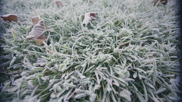 Selective focus shot of frozen grass in a meadow