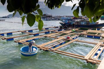 A fisherman in a traditional conical hat works on a floating fish farm in the waters of Hon Mieu, Nha Trang, Vietnam. The man is in a round boat, tending to the wooden structures. © Zenstratus