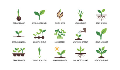 Naklejka premium Seedling and sprout icons illustrating early growth and roots