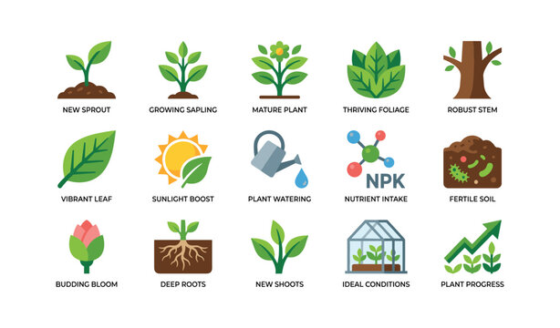 Plant growth icons showing stages and care on white background