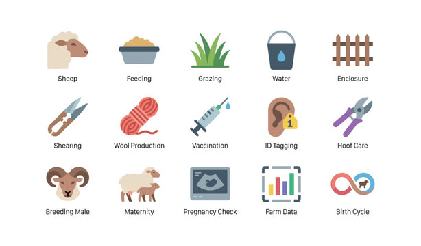 Sheep farm icons showing animal care tasks on plain background