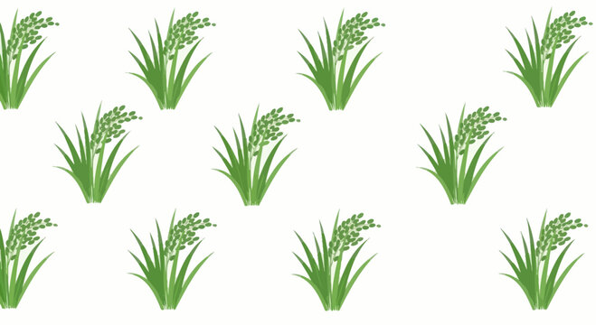Seamless Pattern of Green Rice Plants on White Background - Agriculture and Food Concept