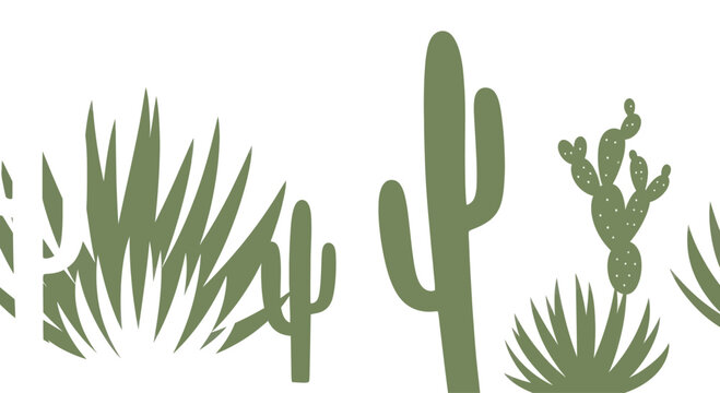Desert landscape illustration with various cacti and succulents, green silhouette on white background