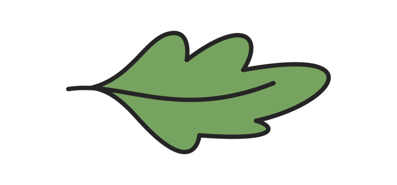 Green leaf doodle sketch element icon with symbol of nature. Leaf in color as adventure item, graphic used for camp context and nature themes, hand drawn style for outdoor.