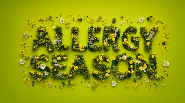 Allergy Season typography created from fresh green leaves and spring flowers arranged as a flat lay on a bright lime green surface. Floral, realistic.